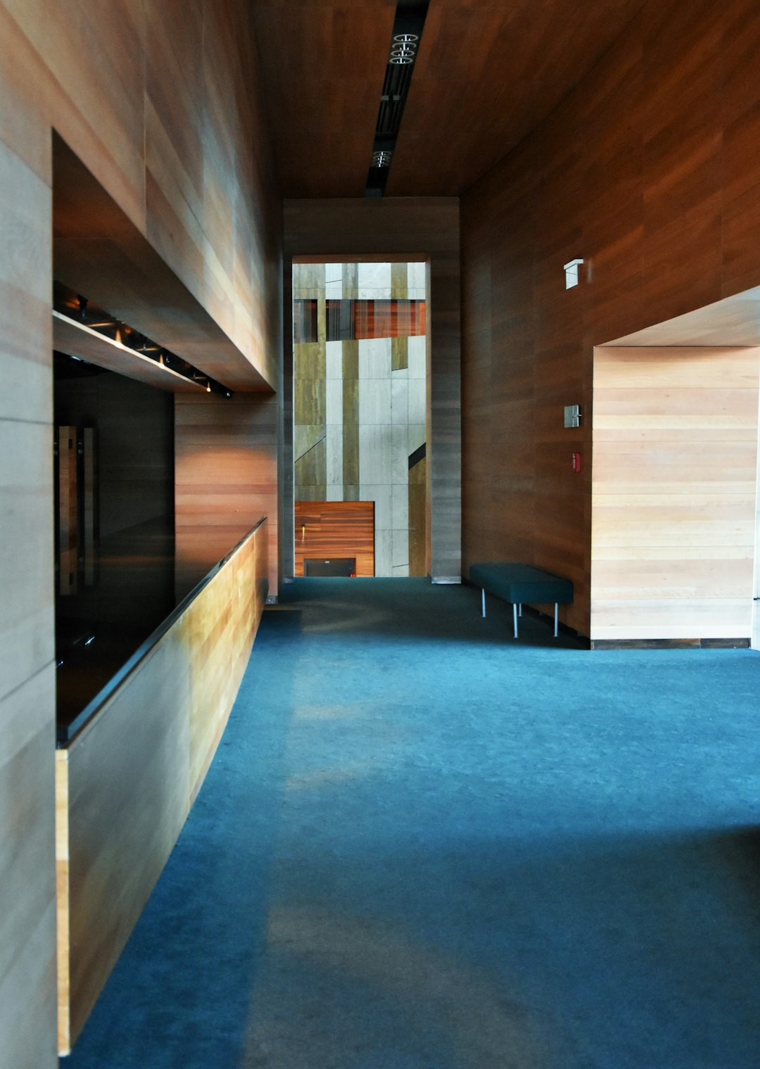 Biophilic Interior Design