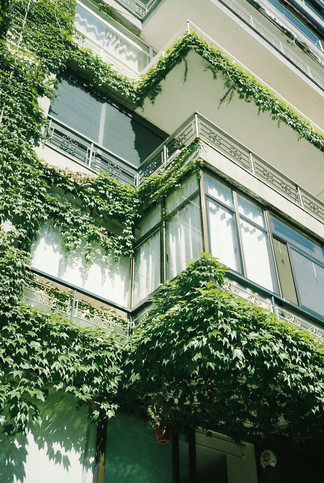 Green Building