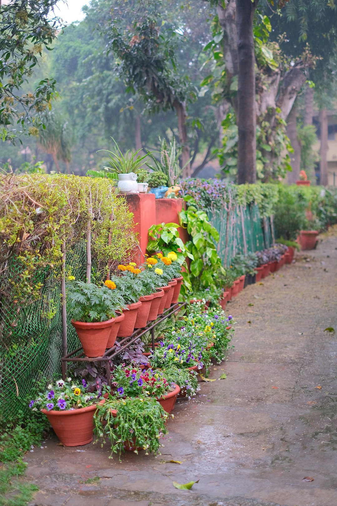 Rooftop Garden Oasis